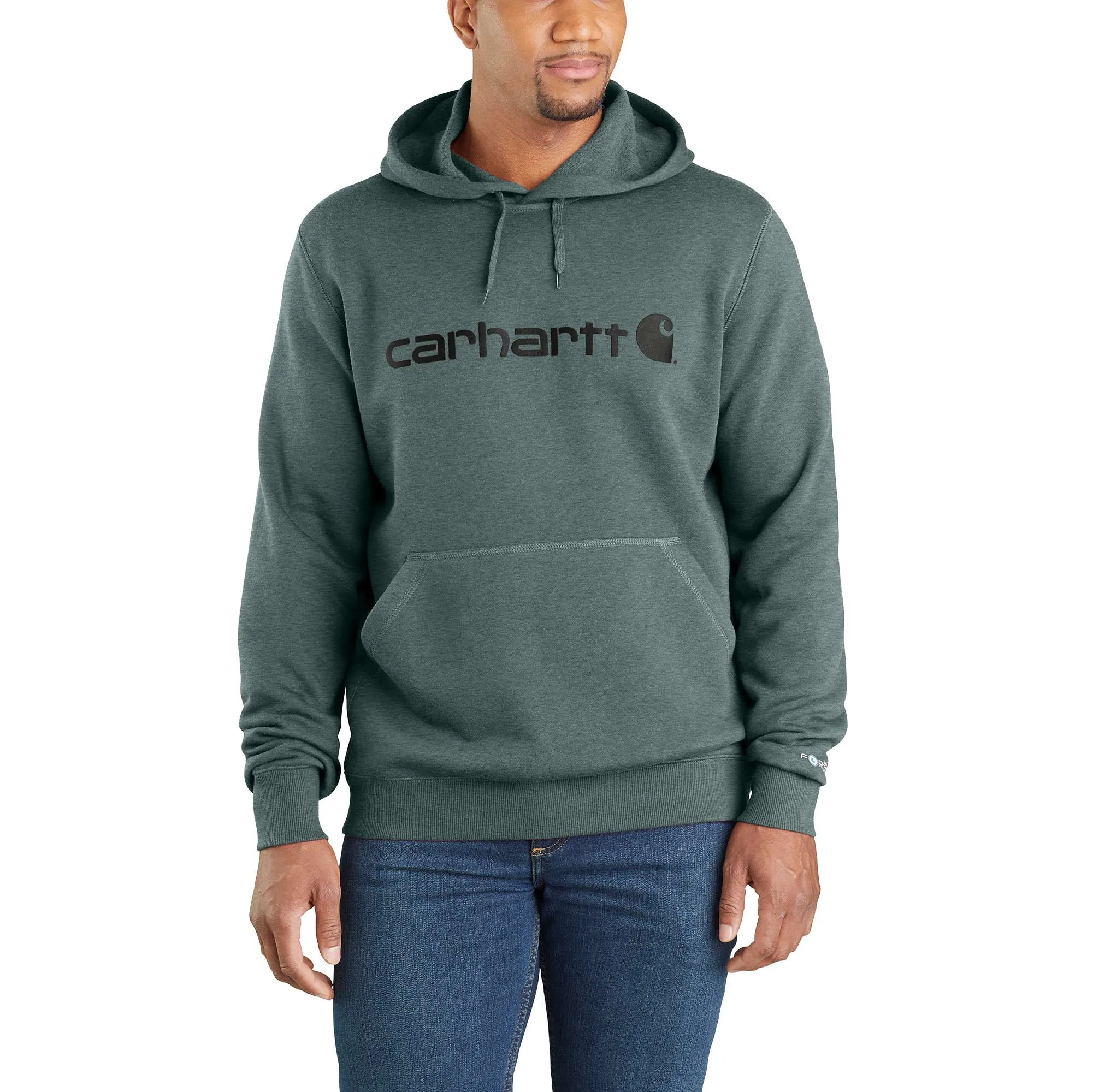 Carhartt Force Delmont Signature Graphic Hooded Sweatshirt