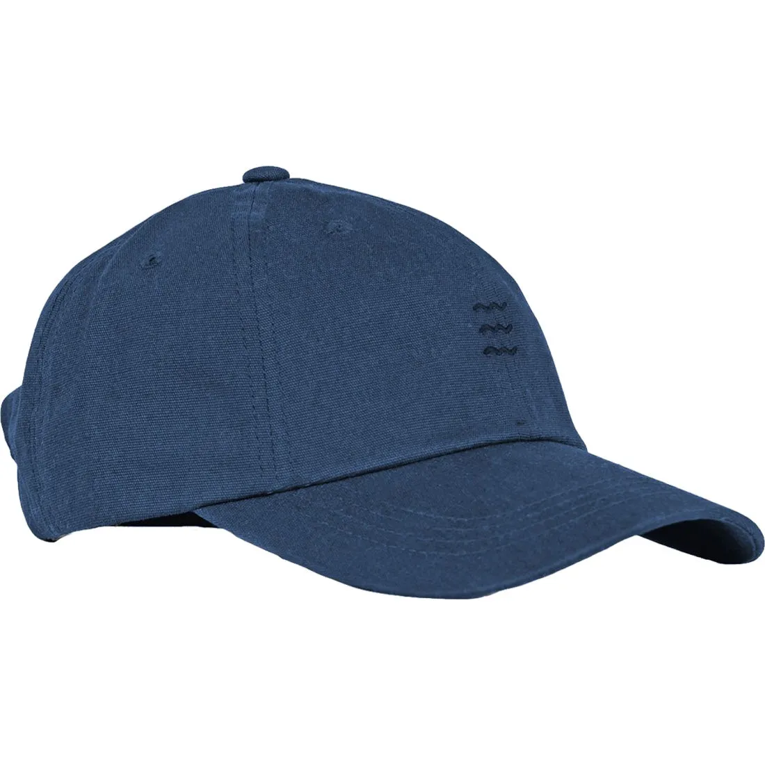 Free Fly Classic Icon Hat