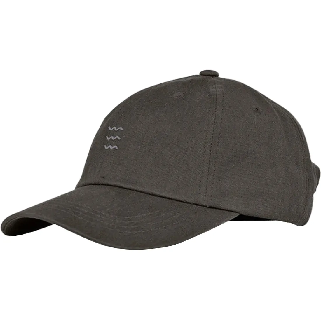 Free Fly Classic Icon Hat