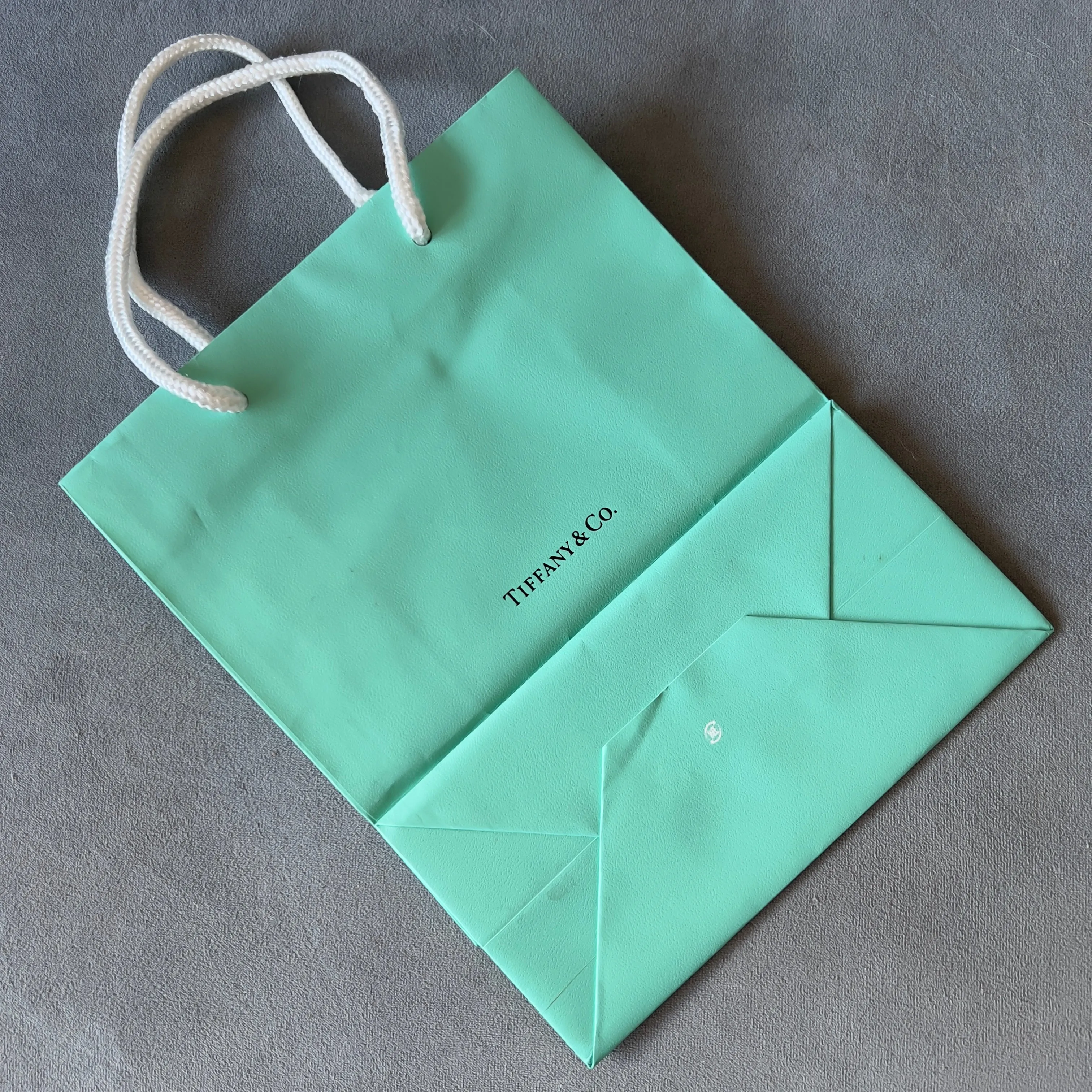 TIFFANY & CO. Shopping Gift Bag